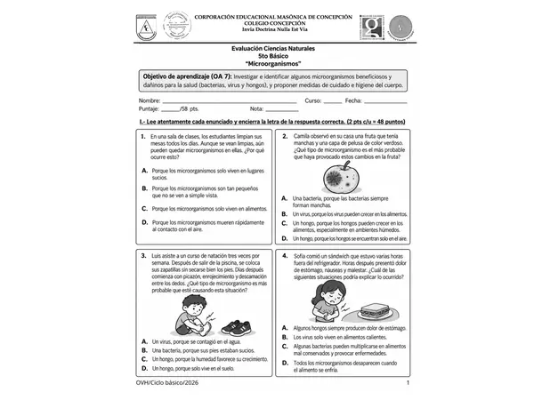 Evaluación Ciencias Naturales 5° Básico | Microorganismos, Bacterias, Virus y Hongos