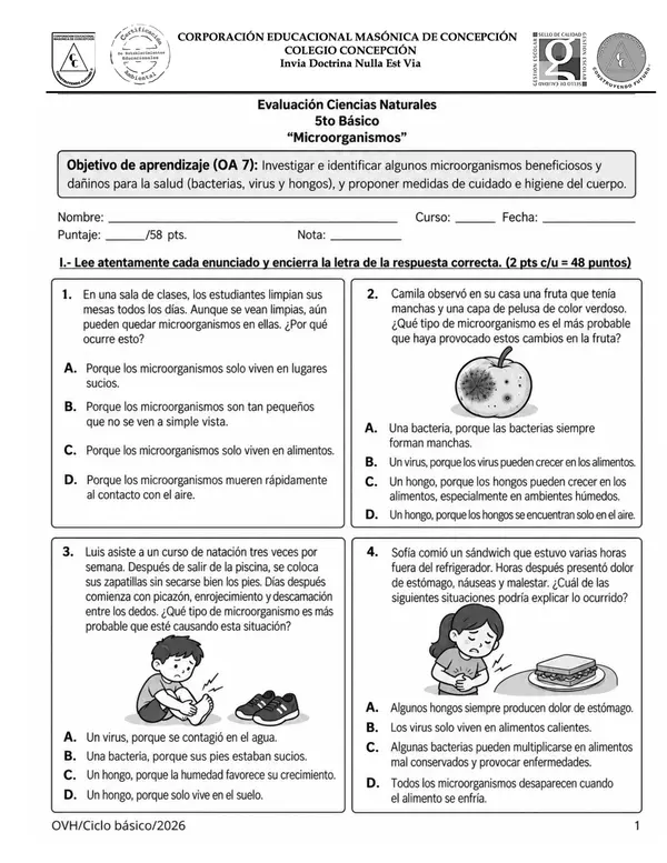 Evaluación Ciencias Naturales 5° Básico | Microorganismos, Bacterias, Virus y Hongos