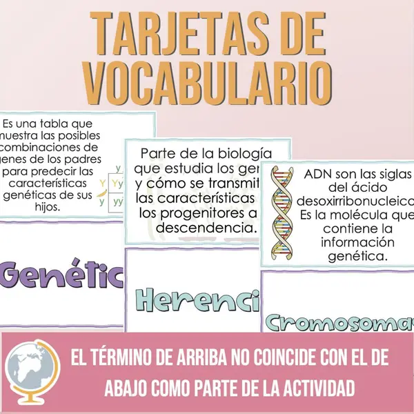 Vocabulario Genética Búsqueda del Tesoro