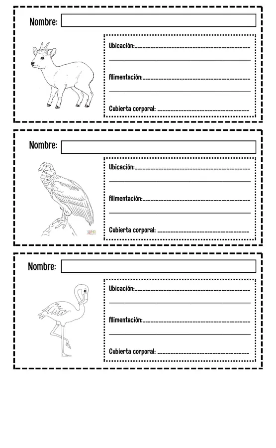 librito animales típicos chilenos