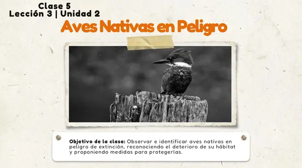Clase 5 Lección 3 Unidad 2 "Aves Nativas en peligro" 2° Básico