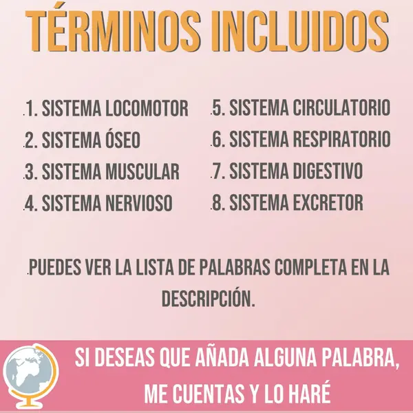 Sistemas del cuerpo tarjetas de vocabulario