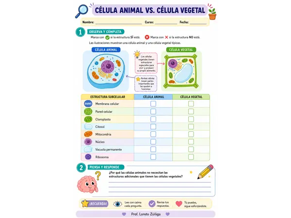 Guía comparativa célula vegetal y célula animal