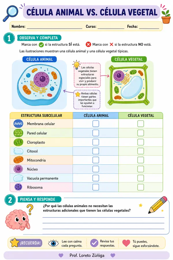 Guía comparativa célula vegetal y célula animal