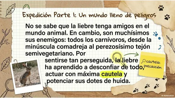La Liebre - Texto informativo 