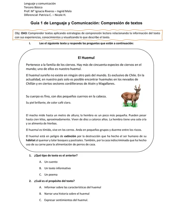 Comprensión de un artículo informativo