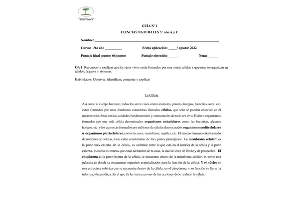5to básico Ciencias Naturales Niveles de organización de los organismos