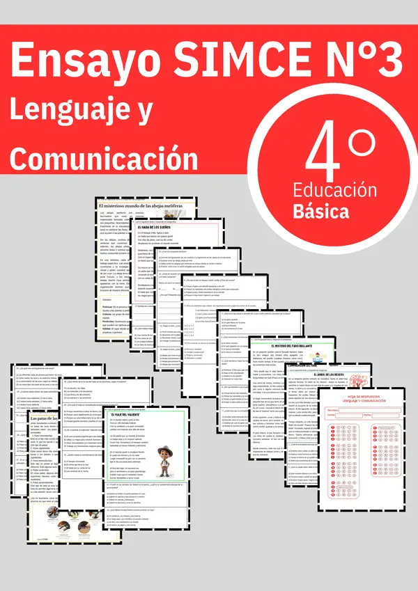 Ensayo SIMCE Lenguaje 4to básico