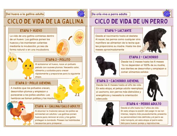 Ciclo de vida de animales