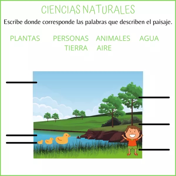 Ciencias Naturales: clasificación.