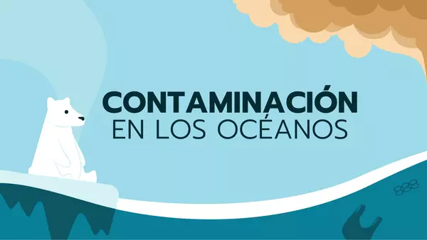 Contaminación del mar