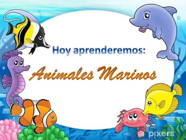 ANIMALES MARINOS