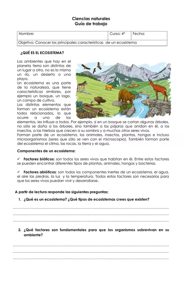 Guía de trabajo - Características de ecosistemas - 4° básico 