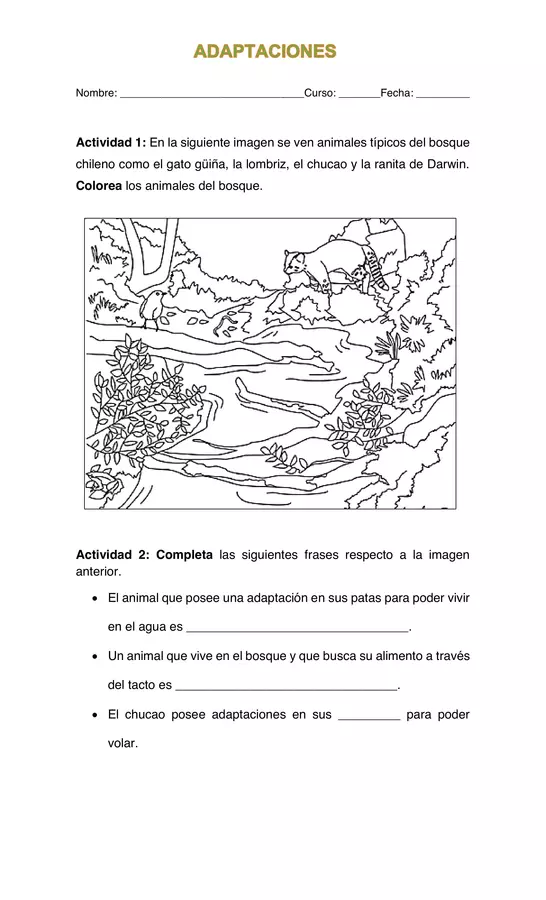 Guia_Adaptaciones, CIENCIAS NATURALES, SEGUNDO BASICO