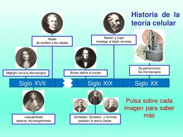 HISTORIA DE LA TEORÍA CELULAR, OCTAVO BASICO, NATURALES