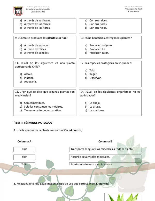 Prueba: Las plantas y sus beneficios