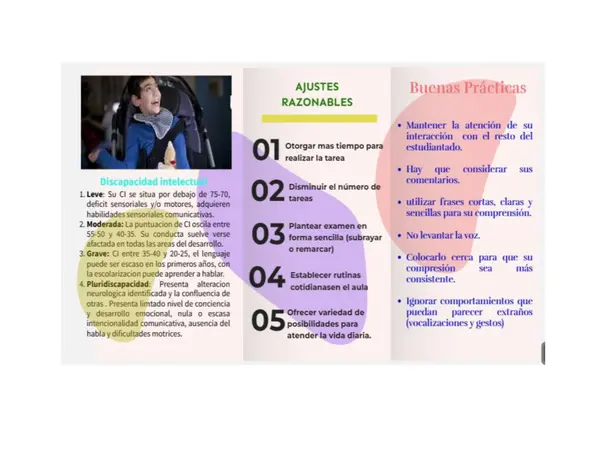 TRIPTICO SOBRE DISCAPACIDAD INTELECTUAL