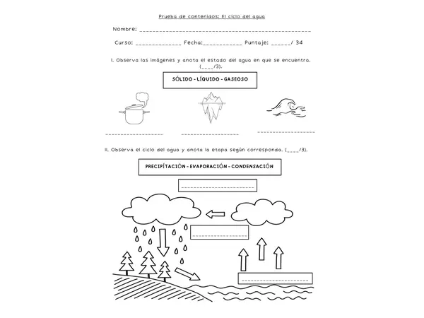 Prueba características y ciclo del agua