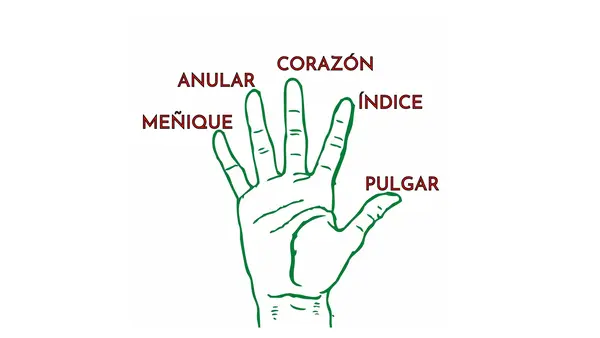 PRIMER DÍA LECCIÓN MANO 