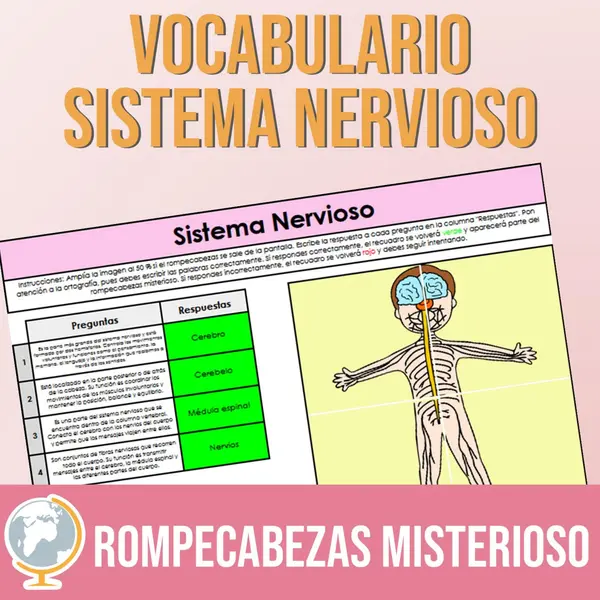 Sistema nervioso rompecabezas misterioso