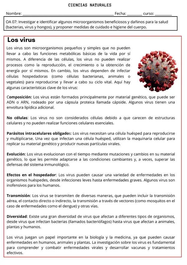 Los Virus: Estructura, Características y Actividades Ficha de Ciencias para 5° - 8° Básico