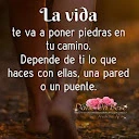 Carolina - @carolina201
