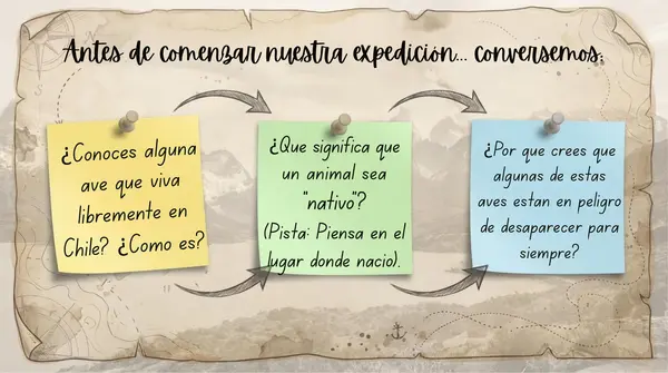 Clase 5 Lección 3 Unidad 2 "Aves Nativas en peligro" 2° Básico