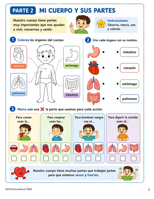 NEE Guía Adecuada Sistemas del Cuerpo Humano | Ciencias Naturales 5° Básico