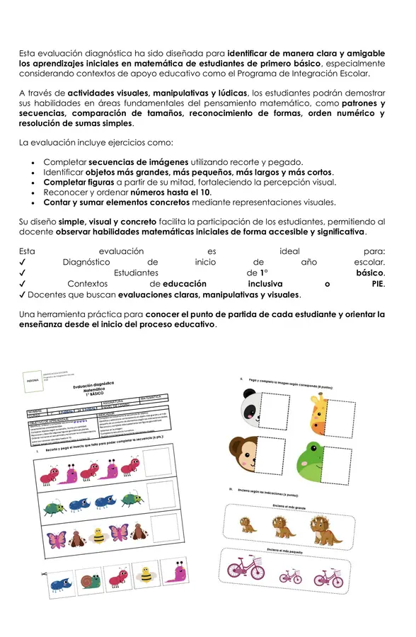 Evaluación diagnóstica matemática 