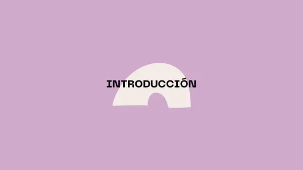 Esquemas - estrategia de estudio