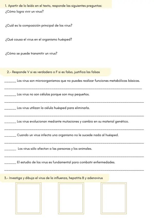 Los Virus: Estructura, Características y Actividades Ficha de Ciencias para 5° - 8° Básico