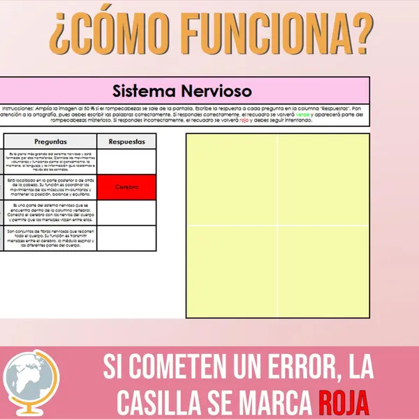 Sistema nervioso rompecabezas misterioso