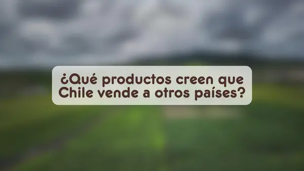 Los recursos naturales de Chile | Quinto Básico