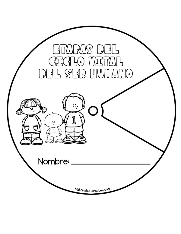 RULETA DE LAS ETAPAS DEL CICLO VITAL 