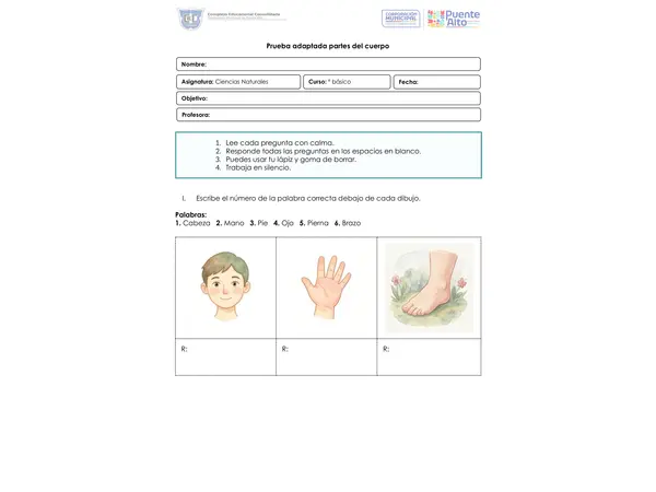 Actividad o Prueba Partes del cuerpo