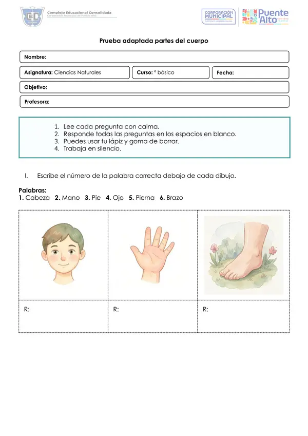 Actividad o Prueba Partes del cuerpo