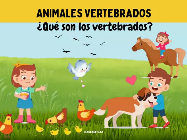 Animales vertebrados, ¿qué son los vertebrados?
