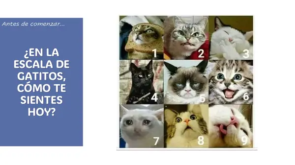 DEBATE 7°