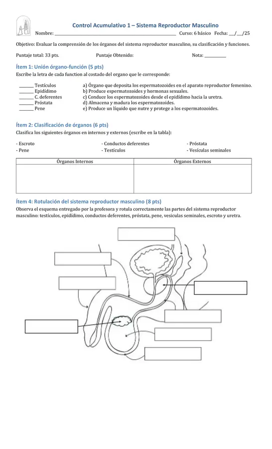 Contro sistema reproductor masculino 