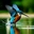 Giosser Nader - @giosser.nader