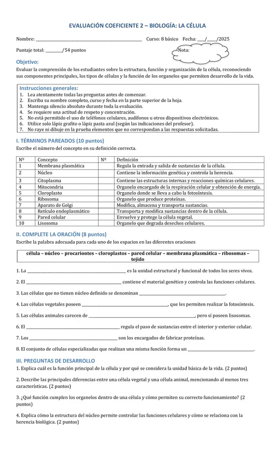 🧫 Evaluación Biología: La Célula – 8° Básico