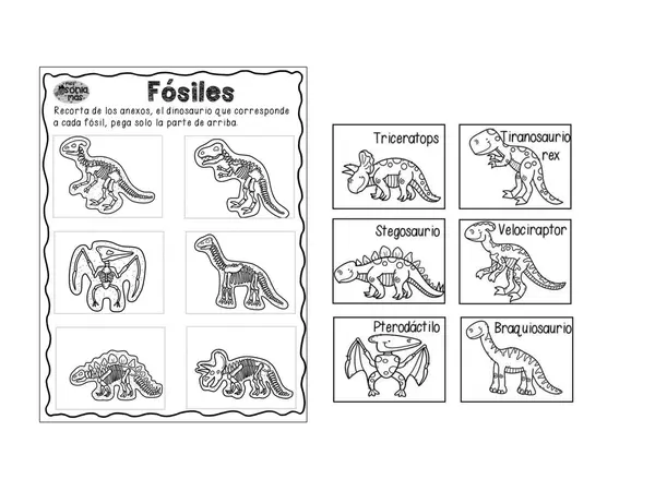 FOSILES