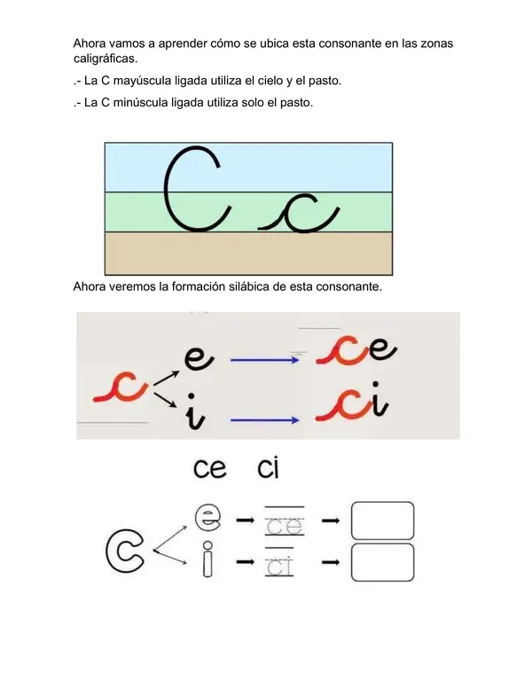 guía de trabajo "CE-CI"