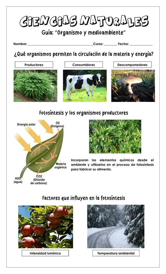 Guía - Organismos y medioambiente