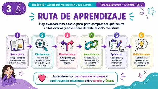 7MO OA 2 - CICLO MENSTRUAL OVARIOS Y ÚTERO