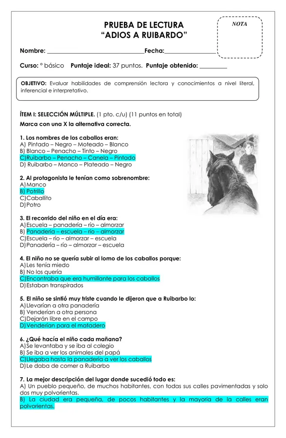 Prueba Lectura - Adiós Ruibardo