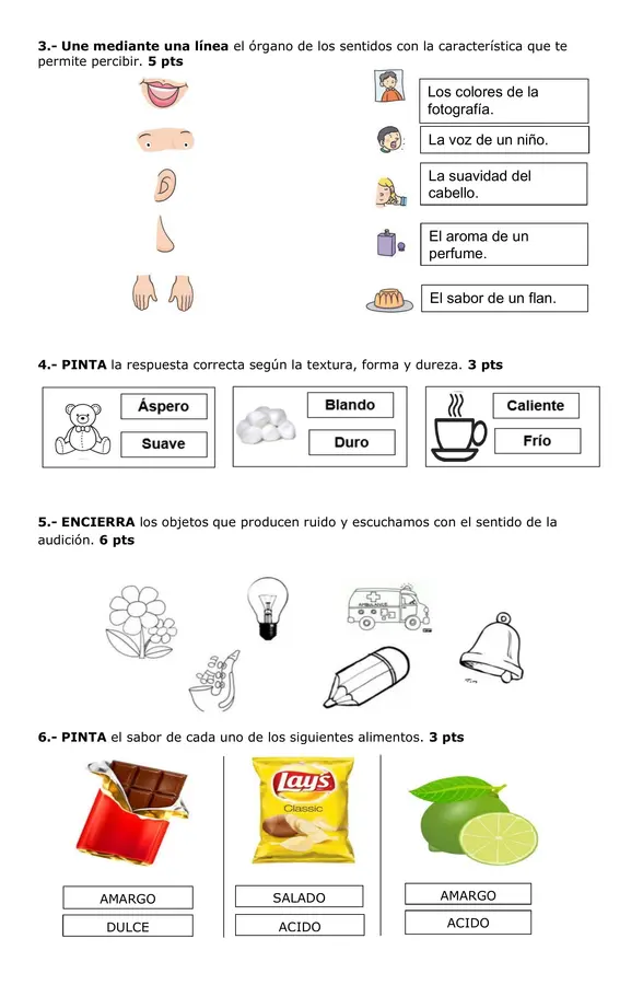 Evaluación de los organos de los sentidos