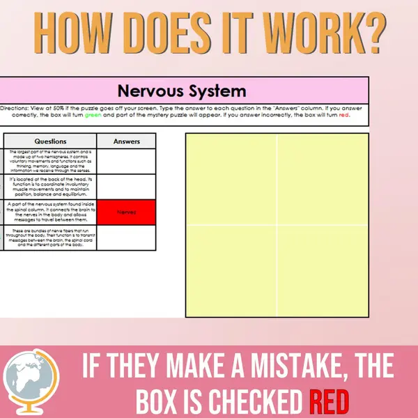 Nervous System Mystery Puzzle