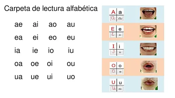 Carpeta de Lectura palabras y oraciones - Todas las letras del abecedario en PPT