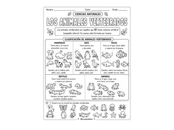 Guía de practica de cs. naturales de los animales vertebrados e invertebrados